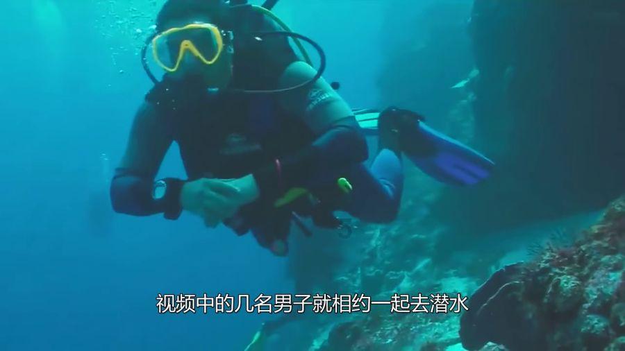 2024“梨园迎春”文化惠民演出即将精彩上演